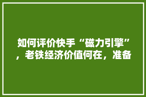 如何评价快手“磁力引擎”，老铁经济价值何在，准备装修的老铁是什么人啊。 如何评价快手“磁力引擎”，老铁经济价值何在，准备装修的老铁是什么人啊。 二手房