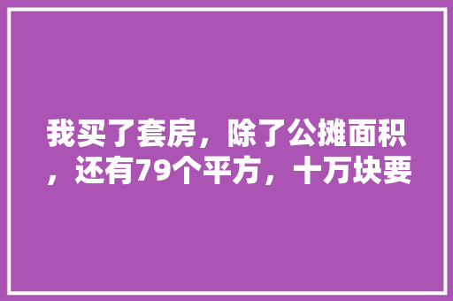 我买了套房，除了公摊面积，还有79个平方，十万块要怎么装修，套间装修要准备什么东西呢。 我买了套房，除了公摊面积，还有79个平方，十万块要怎么装修，套间装修要准备什么东西呢。 装修知识