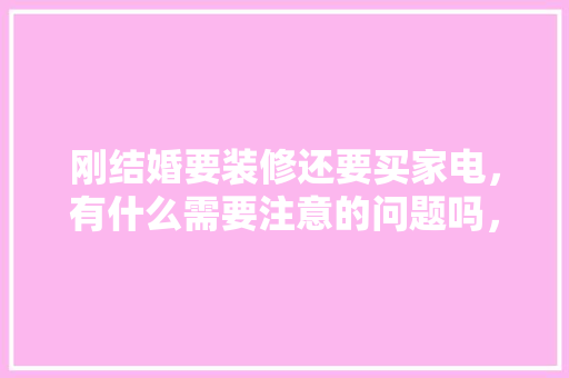 刚结婚要装修还要买家电，有什么需要注意的问题吗，装修阶段准备什么家电好。 刚结婚要装修还要买家电，有什么需要注意的问题吗，装修阶段准备什么家电好。 装修知识