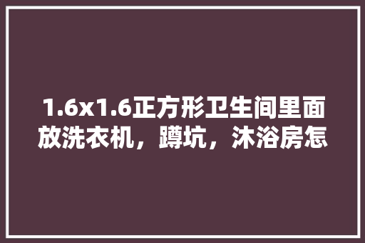 1.6x1.6正方形卫生间里面放洗衣机，蹲坑，沐浴房怎样设计合理，。 1.6x1.6正方形卫生间里面放洗衣机，蹲坑，沐浴房怎样设计合理，。 买房须知