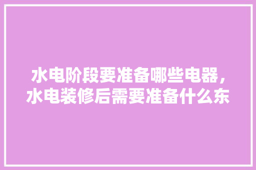 水电阶段要准备哪些电器，水电装修后需要准备什么东西。 水电阶段要准备哪些电器，水电装修后需要准备什么东西。 装修知识