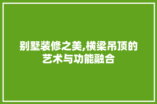 别墅装修之美,横梁吊顶的艺术与功能融合 别墅装修之美,横梁吊顶的艺术与功能融合 买房须知