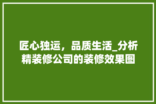 匠心独运，品质生活_分析精装修公司的装修效果图 匠心独运，品质生活_分析精装修公司的装修效果图 二手房