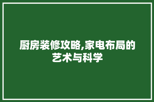 厨房装修攻略,家电布局的艺术与科学 厨房装修攻略,家电布局的艺术与科学 装修知识