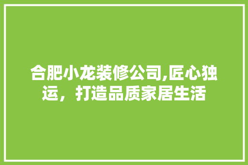 合肥小龙装修公司,匠心独运，打造品质家居生活 合肥小龙装修公司,匠心独运，打造品质家居生活 家居装饰