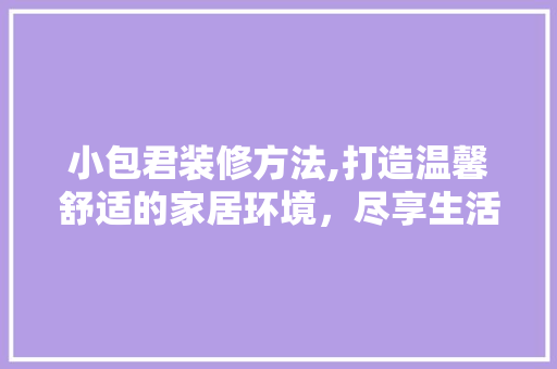小包君装修方法,打造温馨舒适的家居环境，尽享生活之美 小包君装修方法,打造温馨舒适的家居环境，尽享生活之美 家居设计