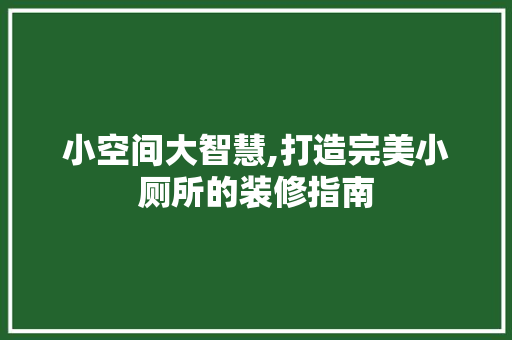 小空间大智慧,打造完美小厕所的装修指南 小空间大智慧,打造完美小厕所的装修指南 家居设计