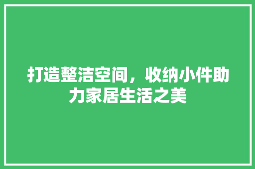 打造整洁空间，收纳小件助力家居生活之美 打造整洁空间，收纳小件助力家居生活之美 二手房