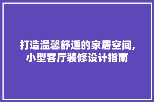 打造温馨舒适的家居空间,小型客厅装修设计指南 打造温馨舒适的家居空间,小型客厅装修设计指南 家居装饰