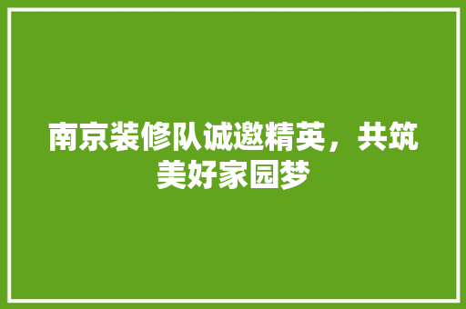 南京装修队诚邀精英，共筑美好家园梦 南京装修队诚邀精英，共筑美好家园梦 二手房
