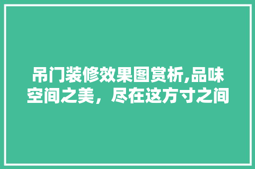 吊门装修效果图赏析,品味空间之美，尽在这方寸之间 吊门装修效果图赏析,品味空间之美，尽在这方寸之间 二手房
