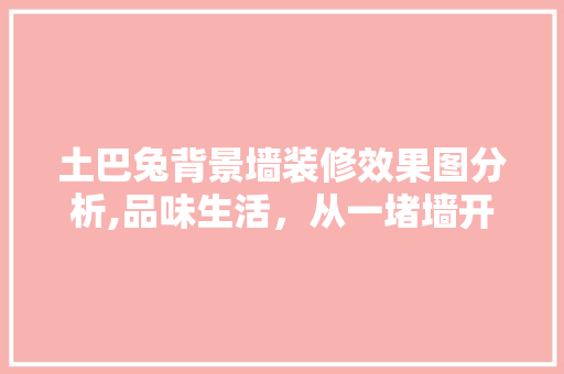 土巴兔背景墙装修效果图分析,品味生活，从一堵墙开始 土巴兔背景墙装修效果图分析,品味生活，从一堵墙开始 家居设计