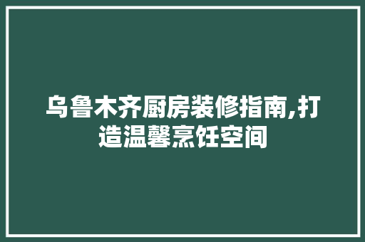 乌鲁木齐厨房装修指南,打造温馨烹饪空间 乌鲁木齐厨房装修指南,打造温馨烹饪空间 家居设计