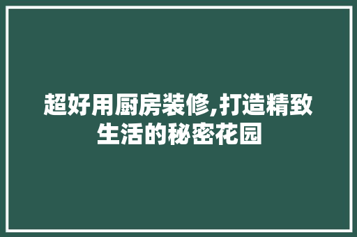 超好用厨房装修,打造精致生活的秘密花园 超好用厨房装修,打造精致生活的秘密花园 买房须知