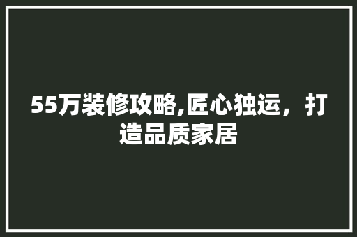 55万装修攻略,匠心独运，打造品质家居 55万装修攻略,匠心独运，打造品质家居 家居设计
