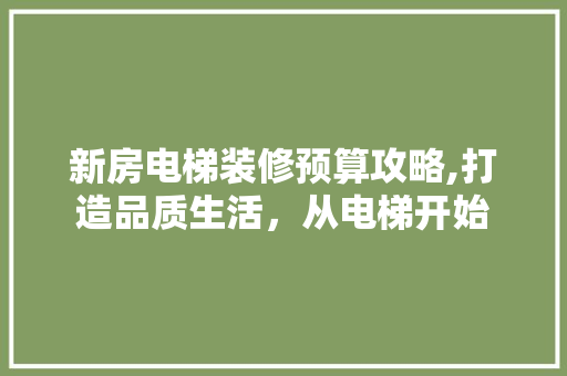 新房电梯装修预算攻略,打造品质生活，从电梯开始 新房电梯装修预算攻略,打造品质生活，从电梯开始 家居设计