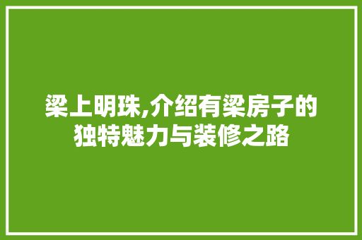 梁上明珠,介绍有梁房子的独特魅力与装修之路 梁上明珠,介绍有梁房子的独特魅力与装修之路 家居装饰