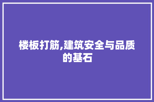 楼板打筋,建筑安全与品质的基石 楼板打筋,建筑安全与品质的基石 买房须知