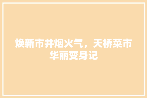 焕新市井烟火气，天桥菜市华丽变身记 焕新市井烟火气，天桥菜市华丽变身记 家居设计