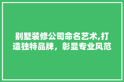 别墅装修公司命名艺术,打造独特品牌，彰显专业风范 别墅装修公司命名艺术,打造独特品牌，彰显专业风范 二手房
