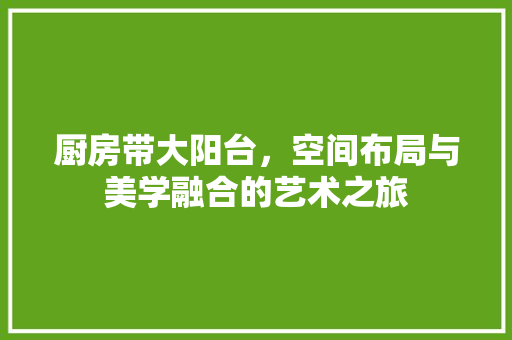 厨房带大阳台，空间布局与美学融合的艺术之旅 厨房带大阳台，空间布局与美学融合的艺术之旅 二手房