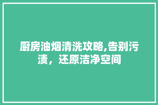 厨房油烟清洗攻略,告别污渍，还原洁净空间 厨房油烟清洗攻略,告别污渍，还原洁净空间 买房须知