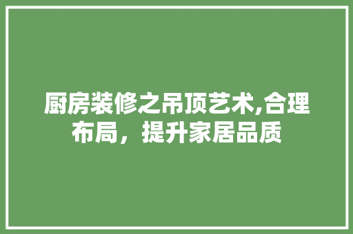 厨房装修之吊顶艺术,合理布局，提升家居品质 厨房装修之吊顶艺术,合理布局，提升家居品质 家居装饰