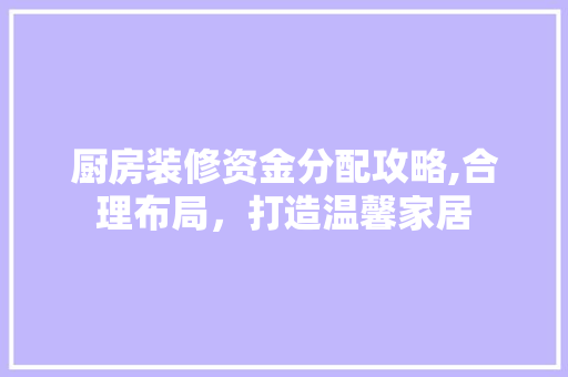 厨房装修资金分配攻略,合理布局，打造温馨家居 厨房装修资金分配攻略,合理布局，打造温馨家居 买房须知