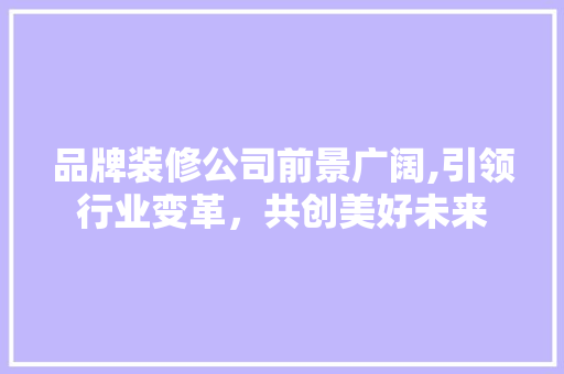 品牌装修公司前景广阔,引领行业变革，共创美好未来 品牌装修公司前景广阔,引领行业变革，共创美好未来 二手房