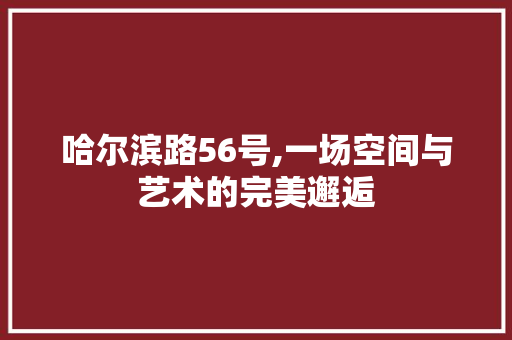 哈尔滨路56号,一场空间与艺术的完美邂逅 哈尔滨路56号,一场空间与艺术的完美邂逅 二手房