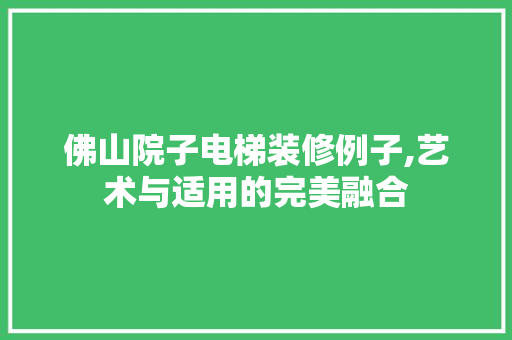 佛山院子电梯装修例子,艺术与适用的完美融合 佛山院子电梯装修例子,艺术与适用的完美融合 家居设计