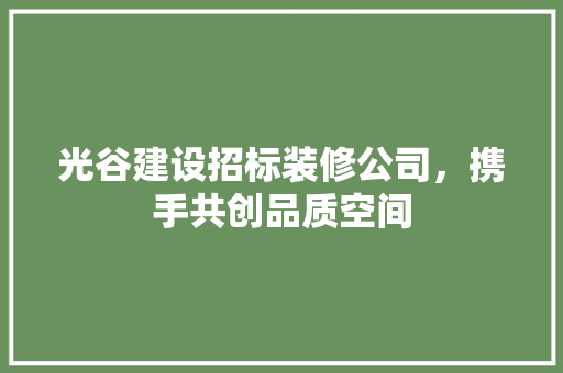 光谷建设招标装修公司，携手共创品质空间 光谷建设招标装修公司，携手共创品质空间 家居设计