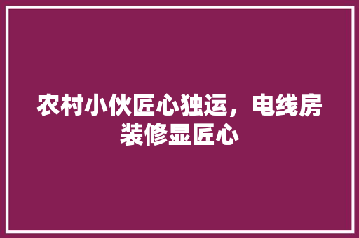 农村小伙匠心独运，电线房装修显匠心 农村小伙匠心独运，电线房装修显匠心 家居设计