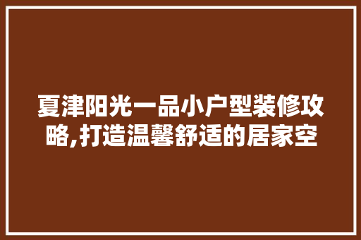 夏津阳光一品小户型装修攻略,打造温馨舒适的居家空间