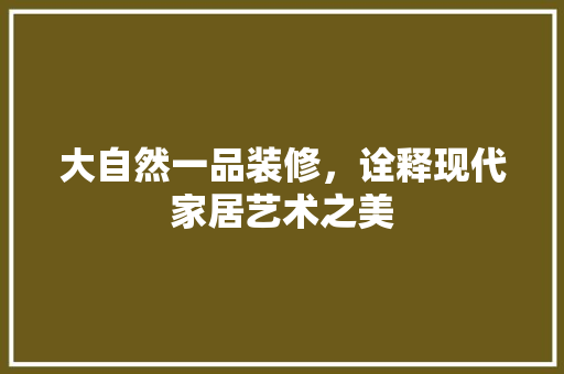 大自然一品装修，诠释现代家居艺术之美