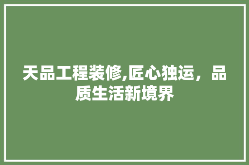 天品工程装修,匠心独运，品质生活新境界