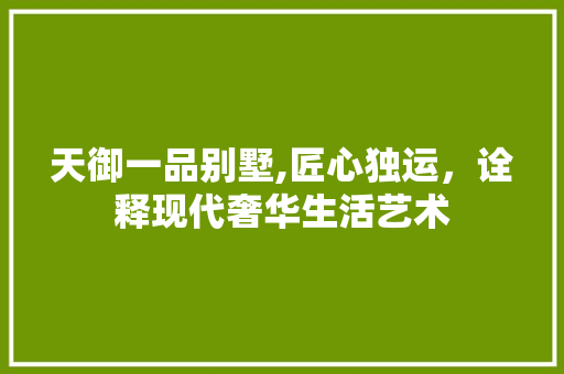 天御一品别墅,匠心独运，诠释现代奢华生活艺术