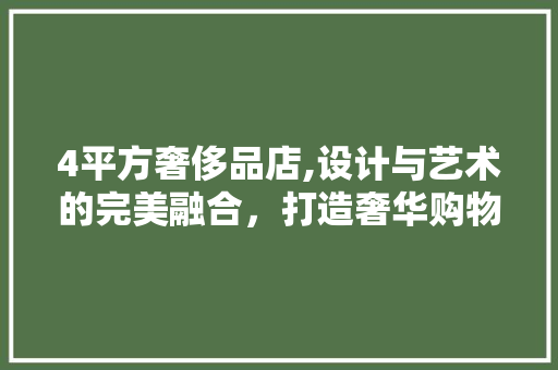 4平方奢侈品店,设计与艺术的完美融合，打造奢华购物新体验