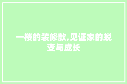 一楼的装修款,见证家的蜕变与成长