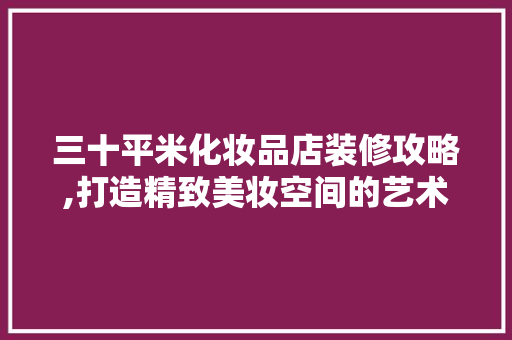 三十平米化妆品店装修攻略,打造精致美妆空间的艺术，30平化妆品店装修风格。