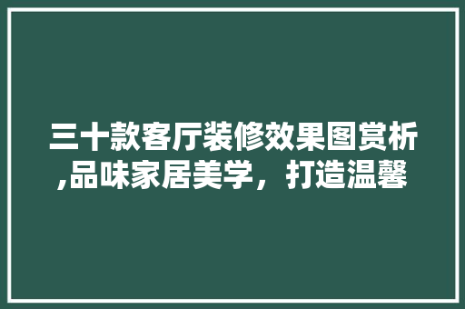 三十款客厅装修效果图赏析,品味家居美学，打造温馨生活空间