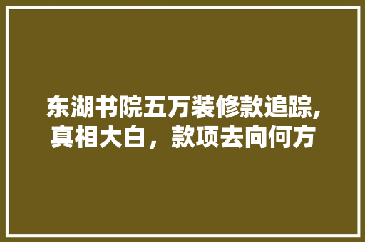 东湖书院五万装修款追踪,真相大白，款项去向何方