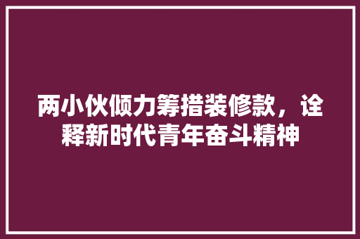 两小伙倾力筹措装修款，诠释新时代青年奋斗精神 两小伙倾力筹措装修款，诠释新时代青年奋斗精神 二手房