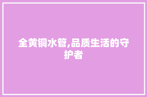 全黄铜水管,品质生活的守护者 全黄铜水管,品质生活的守护者 买房须知
