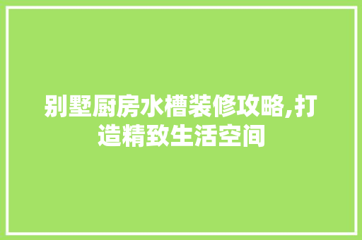别墅厨房水槽装修攻略,打造精致生活空间 别墅厨房水槽装修攻略,打造精致生活空间 家居装饰