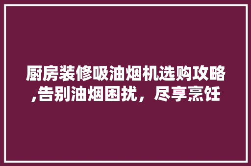 厨房装修吸油烟机选购攻略,告别油烟困扰，尽享烹饪时光