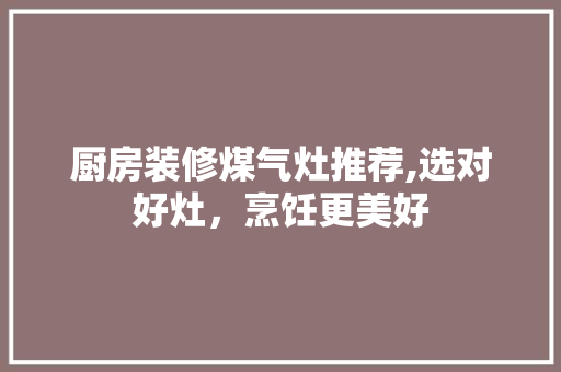厨房装修煤气灶推荐,选对好灶，烹饪更美好