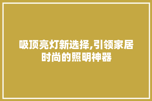 吸顶亮灯新选择,引领家居时尚的照明神器