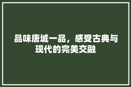 品味唐城一品，感受古典与现代的完美交融