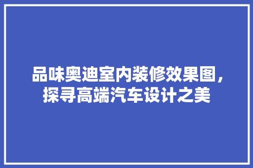 品味奥迪室内装修效果图，探寻高端汽车设计之美